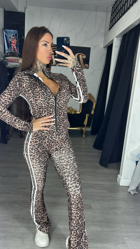 Conjunto leopardo
