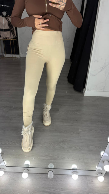 Mayas Richi camel