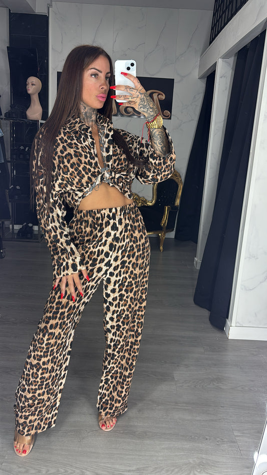 conjunto leopardo