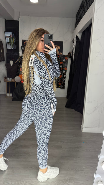 Conjunto, Leo