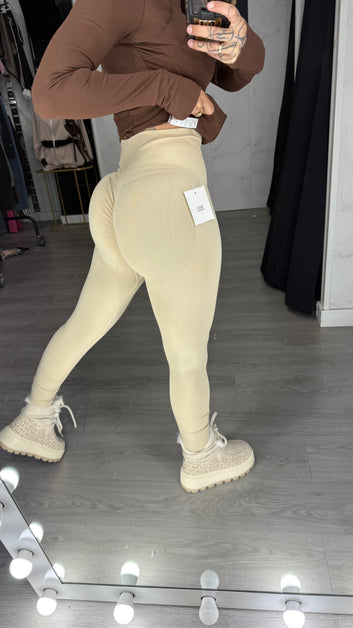 Mayas Richi camel