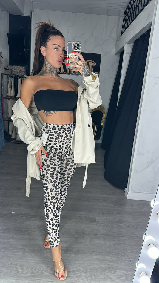 maya leopardo